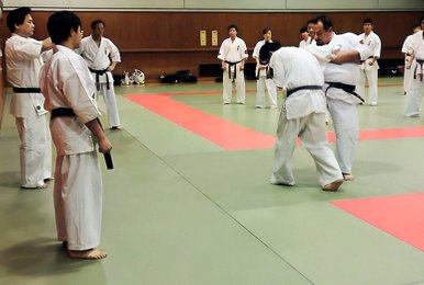 jujitsu-jujutsu-koryu-daito-ryu